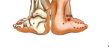 鼻甲位置图片,揭秘鼻腔内部结构